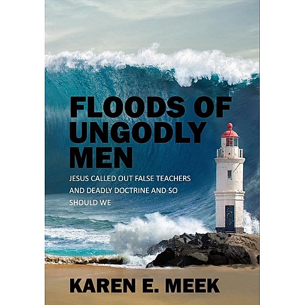 Floods of Ungodly Men, Karen Meek