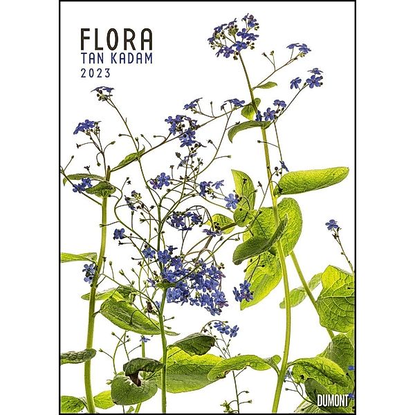 Flora 2023 - Blumen-Kalender von DUMONT- Foto-Kunst von Tan Kadam - Poster-Format 50 x 70 cm