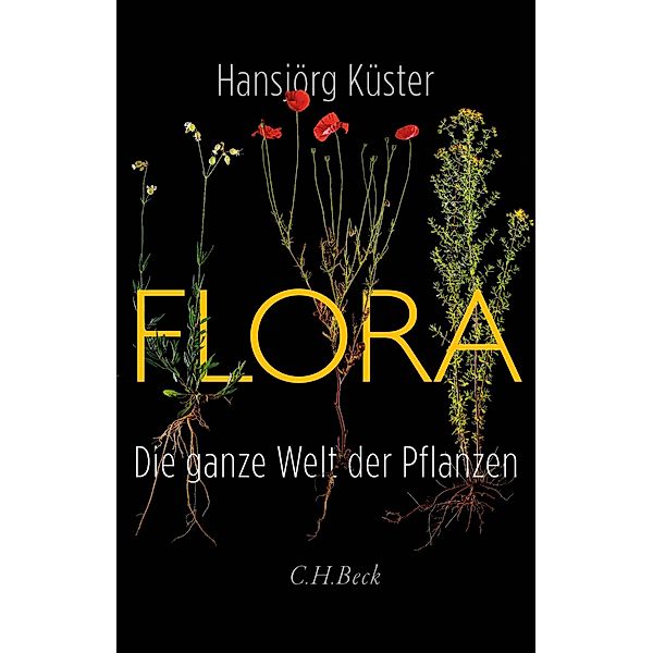 Flora, Hansjörg Küster