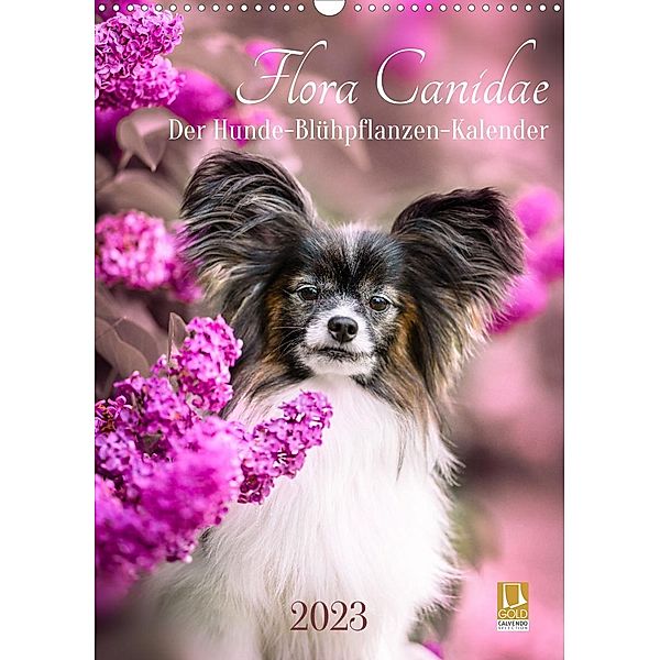 Flora Canidae - der Hunde-Blühpflanzen-Kalender (Wandkalender 2023 DIN A3 hoch), boegau-fotos