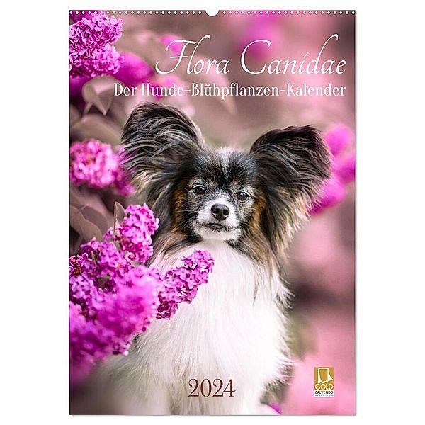 Flora Canidae - der Hunde-Blühpflanzen-Kalender (Wandkalender 2024 DIN A2 hoch), CALVENDO Monatskalender, boegau-fotos