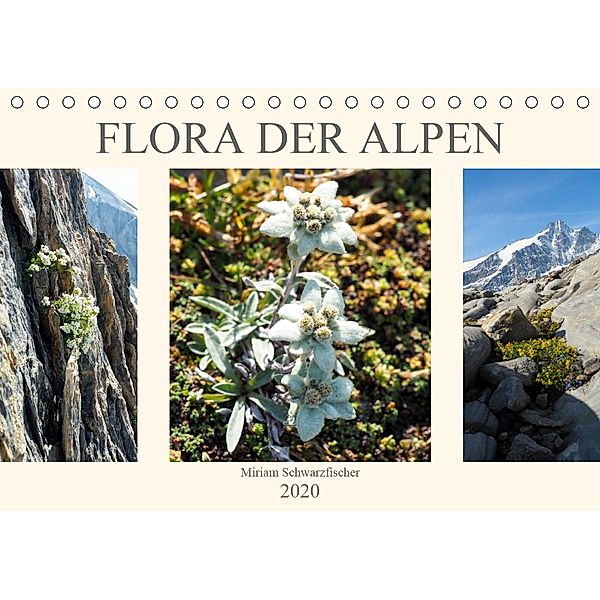 Flora der Alpen (Tischkalender 2020 DIN A5 quer), Miriam Schwarzfischer