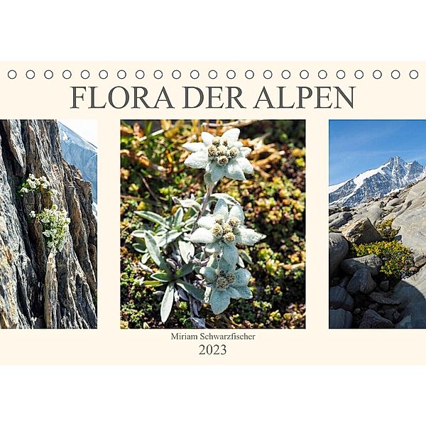 Flora der Alpen (Tischkalender 2023 DIN A5 quer), Fotografin Schwarzfischer Miriam