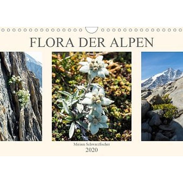 Flora der Alpen (Wandkalender 2020 DIN A4 quer), Miriam Schwarzfischer