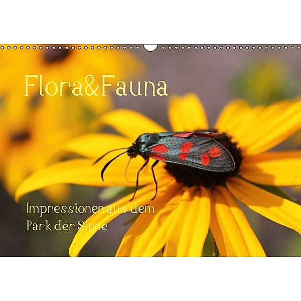 Flora&Fauna Impressionen aus dem Park der Sinne (Wandkalender 2014 DIN A3 quer), Meike Dettlaff