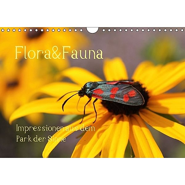 Flora&Fauna Impressionen aus dem Park der Sinne (Wandkalender 2014 DIN A4 quer), Meike Dettlaff