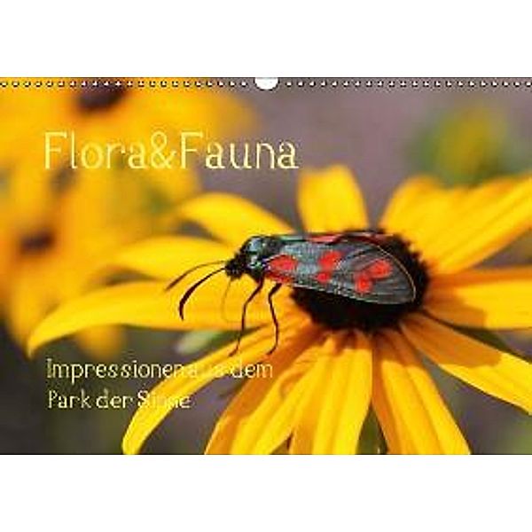 Flora&Fauna Impressionen aus dem Park der Sinne (Wandkalender 2016 DIN A3 quer), Meike Dettlaff