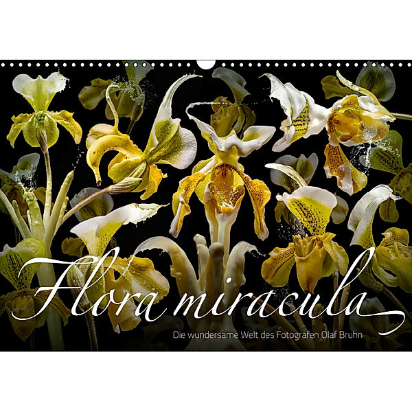 Flora miracula - Die wundersame Welt des Fotografen Olaf Bruhn (Wandkalender 2019 DIN A3 quer), Olaf Bruhn