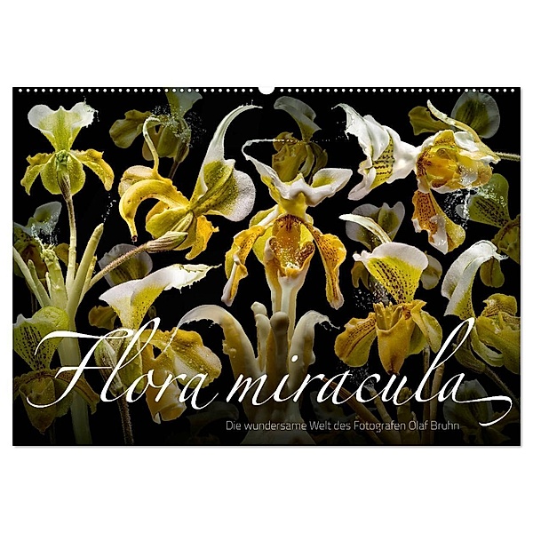 Flora miracula - Die wundersame Welt des Fotografen Olaf Bruhn (Wandkalender 2025 DIN A2 quer), CALVENDO Monatskalender, Calvendo, Olaf Bruhn
