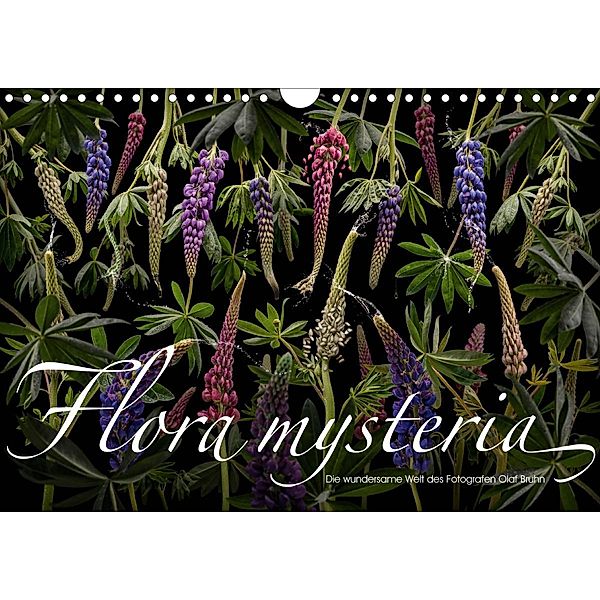 Flora mysteria - Die wundersame Welt des Fotografen Olaf Bruhn (Wandkalender 2020 DIN A4 quer), Olaf Bruhn