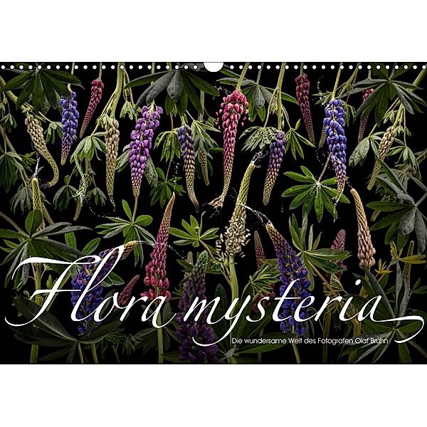 Flora mysteria - Die wundersame Welt des Fotografen Olaf Bruhn (Wandkalender 2020 DIN A3 quer), Olaf Bruhn