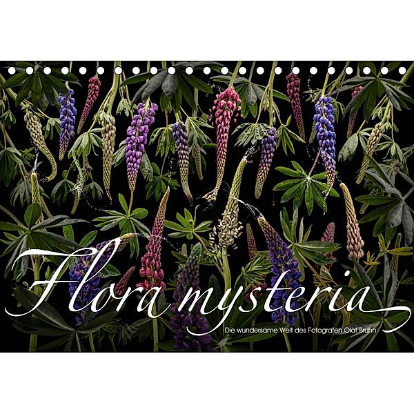 Flora mysteria - Die wundersame Welt des Fotografen Olaf Bruhn (Tischkalender 2020 DIN A5 quer), Olaf Bruhn