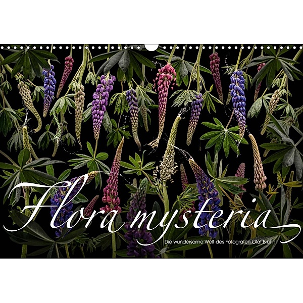 Flora mysteria - Die wundersame Welt des Fotografen Olaf Bruhn (Wandkalender 2021 DIN A3 quer), Olaf Bruhn