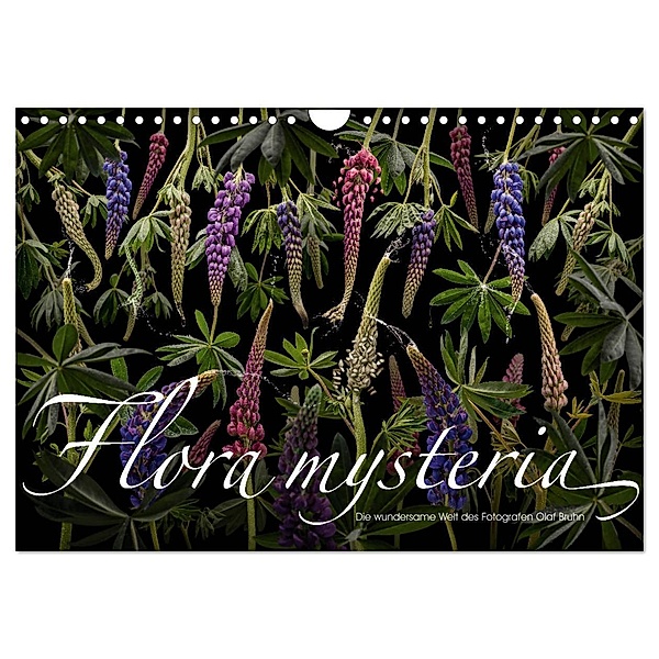 Flora mysteria - Die wundersame Welt des Fotografen Olaf Bruhn (Wandkalender 2024 DIN A4 quer), CALVENDO Monatskalender, Olaf Bruhn