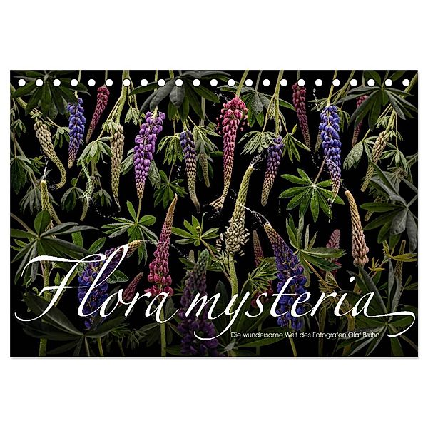 Flora mysteria - Die wundersame Welt des Fotografen Olaf Bruhn (Tischkalender 2024 DIN A5 quer), CALVENDO Monatskalender, Olaf Bruhn