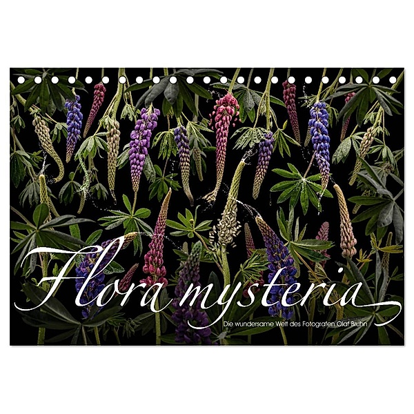Flora mysteria - Die wundersame Welt des Fotografen Olaf Bruhn (Tischkalender 2025 DIN A5 quer), CALVENDO Monatskalender, Calvendo, Olaf Bruhn