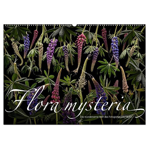 Flora mysteria - Die wundersame Welt des Fotografen Olaf Bruhn (Wandkalender 2025 DIN A2 quer), CALVENDO Monatskalender, Calvendo, Olaf Bruhn