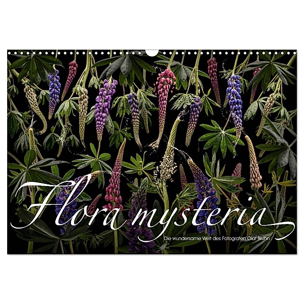 Flora mysteria - Die wundersame Welt des Fotografen Olaf Bruhn (Wandkalender 2025 DIN A3 quer), CALVENDO Monatskalender, Calvendo, Olaf Bruhn