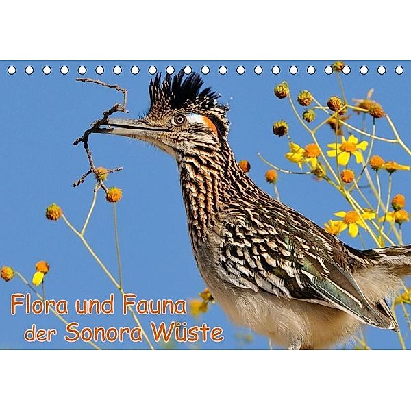 Flora und Fauna der Sonora Wüste (Tischkalender 2017 DIN A5 quer), Dieter-M. Wilczek