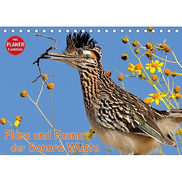 Flora und Fauna der Sonora Wüste (Tischkalender 2018 DIN A5 quer) Dieser erfolgreiche Kalender wurde dieses Jahr mit gle, Dieter-M. Wilczek