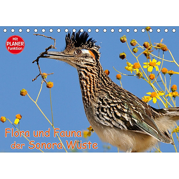 Flora und Fauna der Sonora Wüste (Tischkalender 2019 DIN A5 quer), Dieter-M. Wilczek