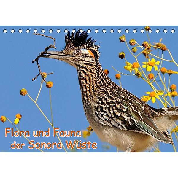 Flora und Fauna der Sonora Wüste (Tischkalender 2023 DIN A5 quer), Dieter Wilczek