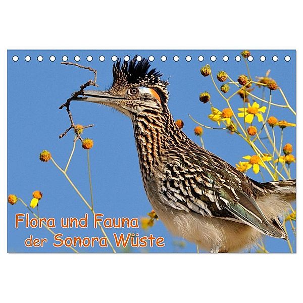 Flora und Fauna der Sonora Wüste (Tischkalender 2024 DIN A5 quer), CALVENDO Monatskalender, Dieter Wilczek