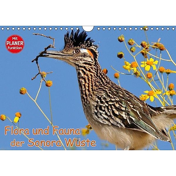 Flora und Fauna der Sonora Wüste (Wandkalender 2017 DIN A4 quer), Dieter-M. Wilczek