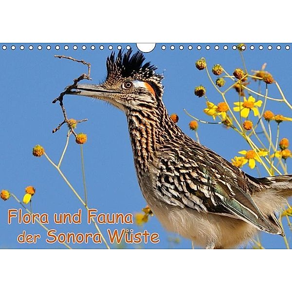 Flora und Fauna der Sonora Wüste (Wandkalender 2017 DIN A4 quer), Dieter-M. Wilczek