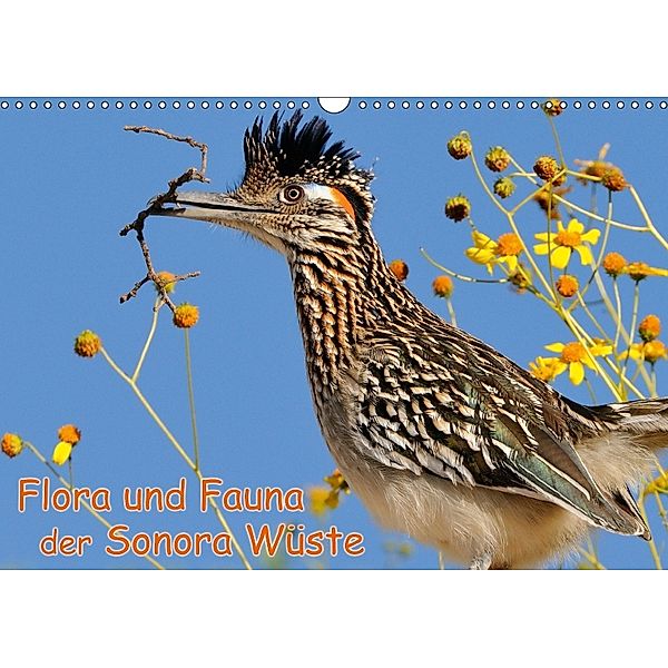 Flora und Fauna der Sonora Wüste (Wandkalender 2018 DIN A3 quer), Dieter-M. Wilczek