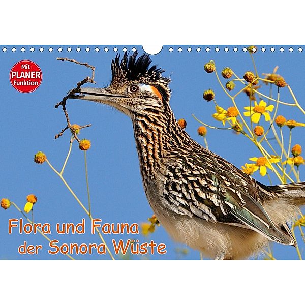 Flora und Fauna der Sonora Wüste (Wandkalender 2021 DIN A4 quer), Dieter-M. Wilczek