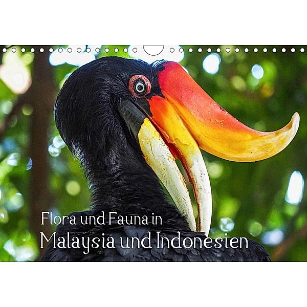 Flora und Fauna in Malaysia und Indonesien (Wandkalender 2021 DIN A4 quer), Uta Depner