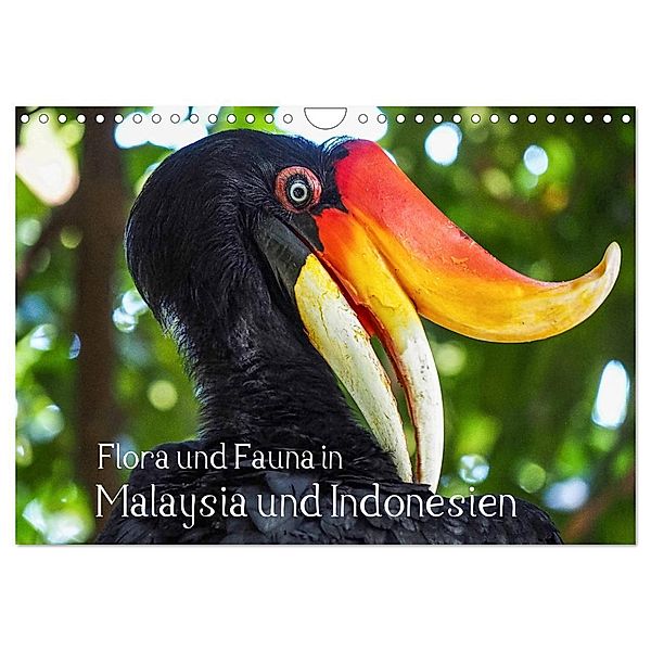 Flora und Fauna in Malaysia und Indonesien (Wandkalender 2024 DIN A4 quer), CALVENDO Monatskalender, Uta Depner