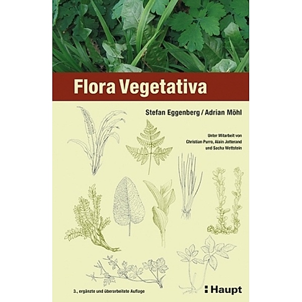 Flora Vegetativa, Stefan Eggenberg, Adrian Möhl