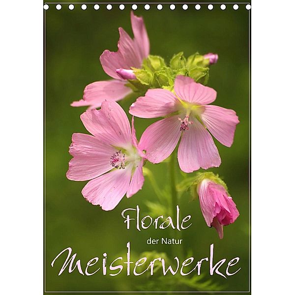 Florale Meisterwerke der Natur (Tischkalender 2020 DIN A5 hoch), Dirk Stamm