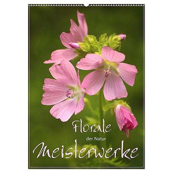 Florale Meisterwerke der Natur (Wandkalender 2024 DIN A2 hoch), CALVENDO Monatskalender, Dirk Stamm