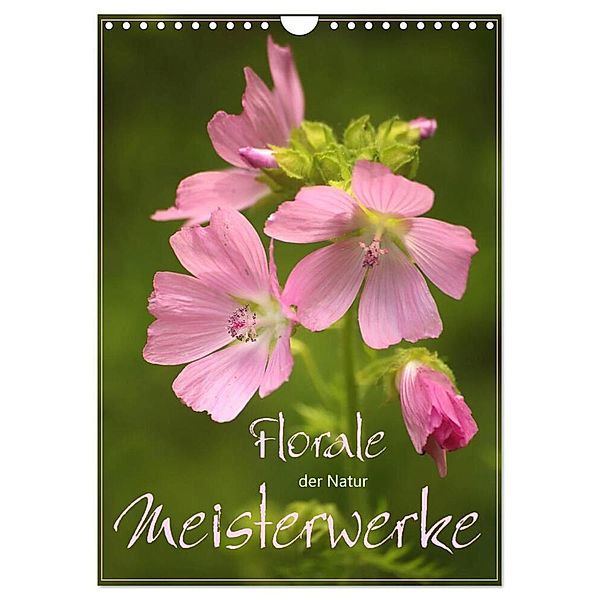 Florale Meisterwerke der Natur (Wandkalender 2024 DIN A4 hoch), CALVENDO Monatskalender, Dirk Stamm