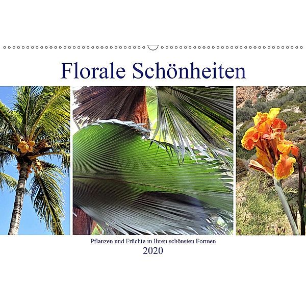 Florale Schönheiten - Pflanzen und Früchte in ihren schönsten Formen (Wandkalender 2020 DIN A2 quer), Denkmayrs