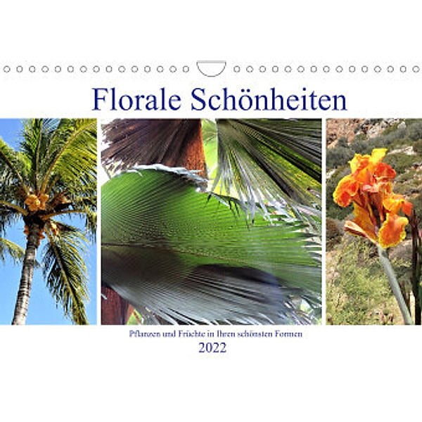 Florale Schönheiten - Pflanzen und Früchte  in ihren schönsten Formen (Wandkalender 2022 DIN A4 quer), by Denkmayrs
