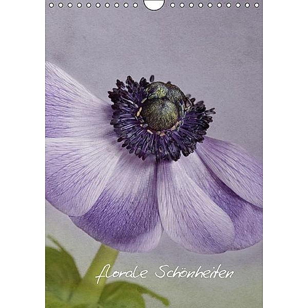 Florale Schönheiten (Wandkalender 2016 DIN A4 hoch), Monika Buch