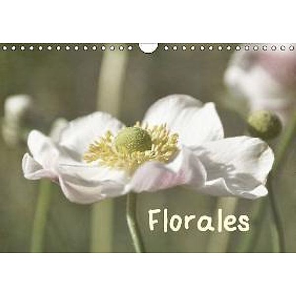 Florales (Wandkalender 2016 DIN A4 quer), Iris Lehnhardt