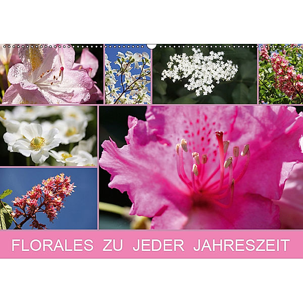 Florales zu jeder Jahreszeit (Wandkalender 2019 DIN A2 quer), Anette Jäger