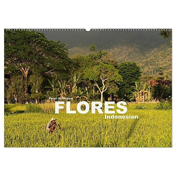 Flores - Indonesien (Wandkalender 2024 DIN A2 quer), CALVENDO Monatskalender, Peter Schickert