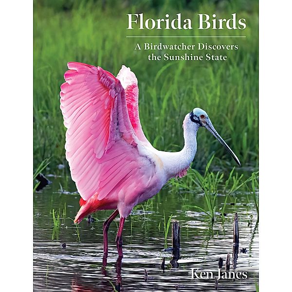 Florida Birds, Ken Janes