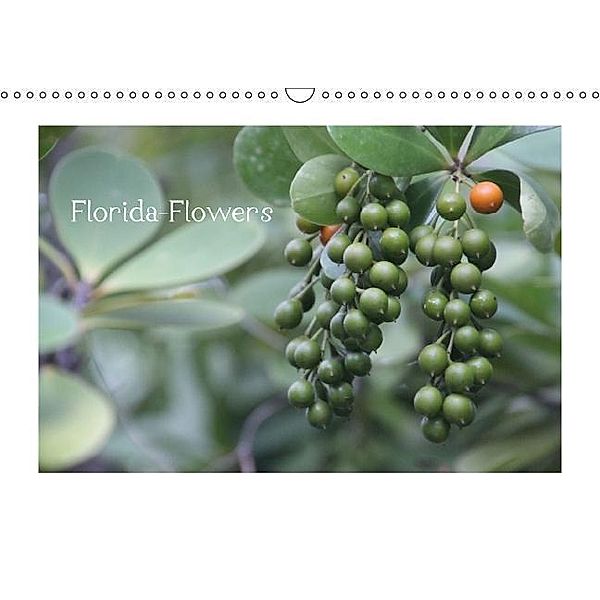 Florida-Flowers (Wandkalender 2016 DIN A3 quer), SATELLIT