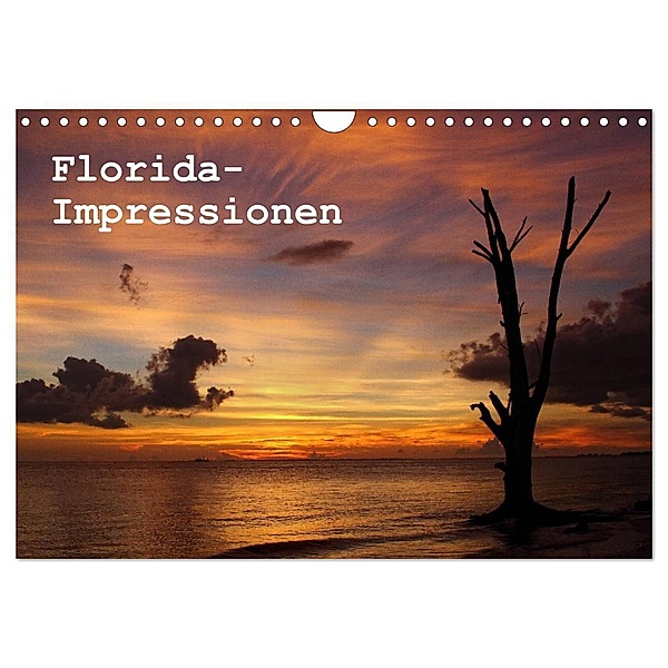 Florida Impressionen (Wandkalender 2024 DIN A4 quer), CALVENDO Monatskalender, Peter Schürholz