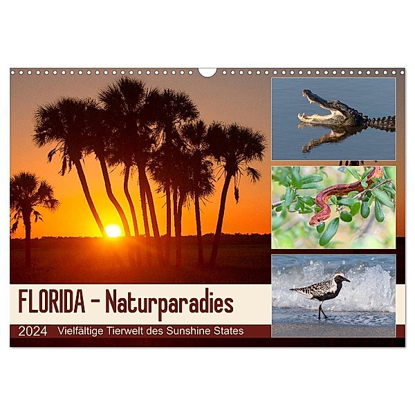 FLORIDA - Naturparadies (Wandkalender 2024 DIN A3 quer), CALVENDO Monatskalender, Kevin Eßer
