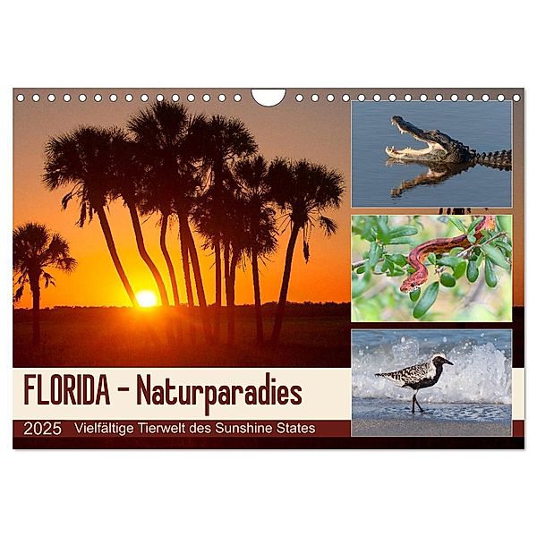 FLORIDA - Naturparadies (Wandkalender 2025 DIN A4 quer), CALVENDO Monatskalender, Calvendo, Kevin Eßer