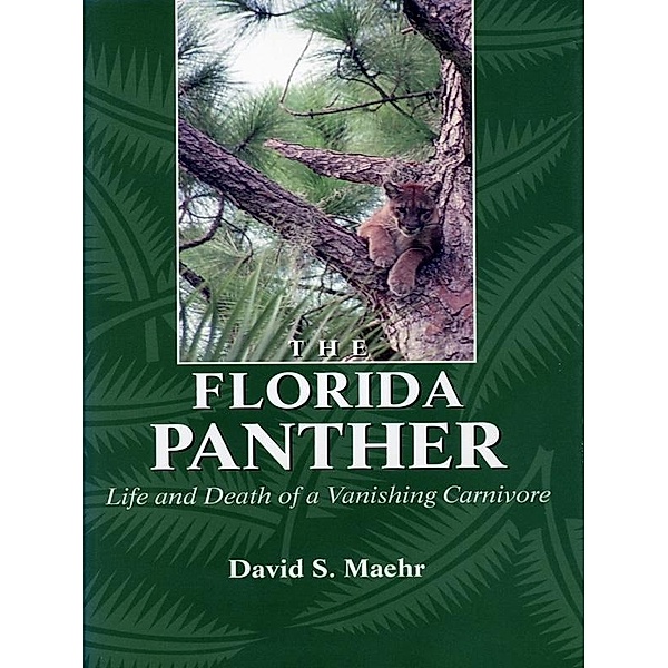 Florida Panther, David Maehr