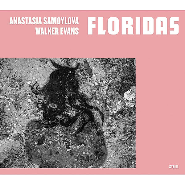 Floridas, Anastasia Samoylova, Walker Evans